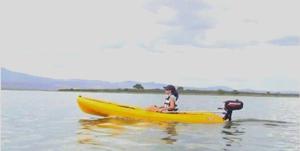 Kayak, Caña de mando Para Motores Fuera De Borda