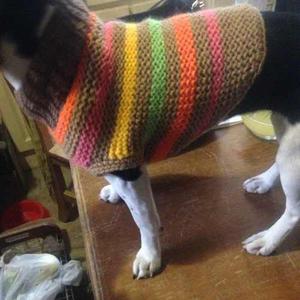 Ropa Perro Tejida Crochet Super Calentita...