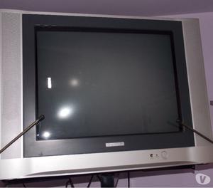 Vendo Televisor marca Telefunken, 21", con control remoto.