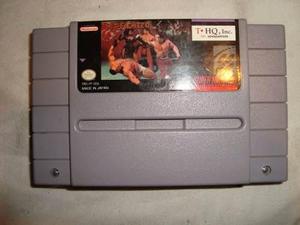 Supernintendo Pit Fighter Juego Original