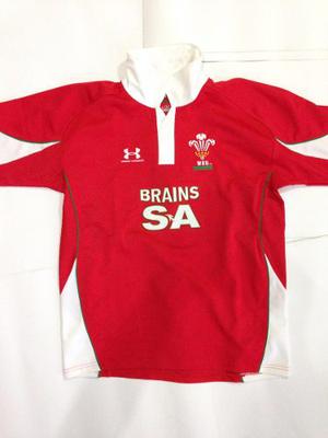 Camiseta Rugby Gales Under Armour