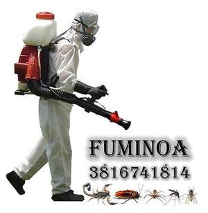 fumigaciones - control de plagas (viviendas - empresas -