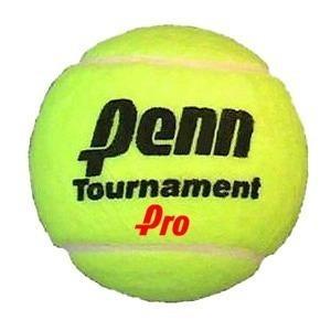40 Pelotas Sueltas Penn Tournament Pro Palermo Tenis Padel