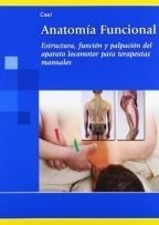 Anatomia Funcional Estructura Funcion Y Palpacion Del A
