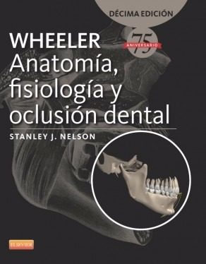 Nelson - Wheeler - Anatomía, Fisiología, Oclusión Dental