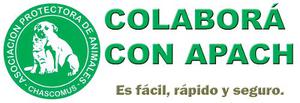 Colaboración Apach