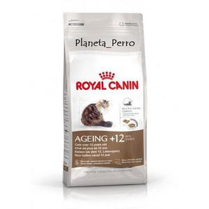 Royal Canin Ageing +12 X 2kg + Env S/cargo (stock Siempre)