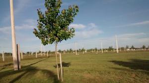 TIERRA DE SUEÑOS PUERTO SAN MARTIN - TERRENOS EN VENTA