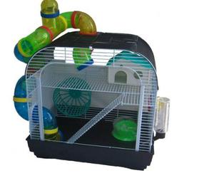 Hamstera Roedores Hamster Rusos Cirios Jerbos Petshopbeto