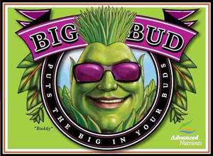 Big Bud 0-1-3 Advanced Nutrients Floración 50ml Indoor