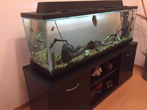 Acuario Completo Con Discus Y Mueble- 144 Litros