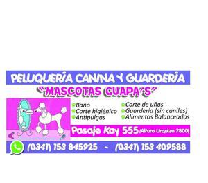 PELUQUERIA Y GUARDERIA CANINA!!! MASCOTAS GUAPA¨S