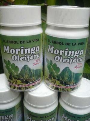 Moringa Micropulverizada Capsulas-500mg-buenos Aires