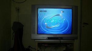 Vendo Televisor 29 Panasonic