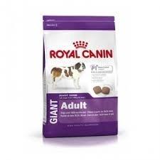 Royal Canin Giant Adult 15k+ Grisin + Envio Gratis Ohmydog!