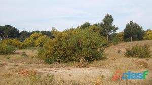 Vendo Lote en Pinamar Tridente