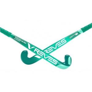 Palo Hockey Reves Vanguard 01 Blue Y Green 35.5