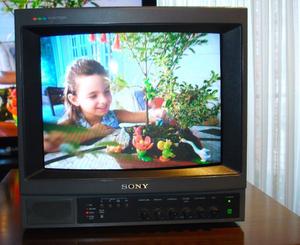 Monitor De Video Sony Pvm- Qm