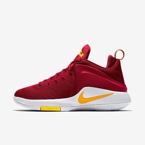 Nike Lebron Witness