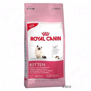 Royal Canin Kitten Gato 7.5kg, Envío S/cargo