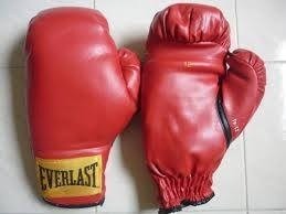 Guantes Everlast 12 Onzas