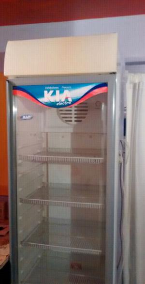 Exhibidora freezer Kia grande EXELENTE MUY BUENA