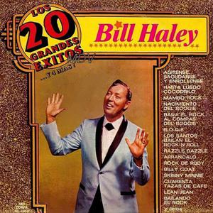 BILL HALEY: "LOS 20 GRANDES EXITOS Y 4 MÁS". VINILO VENDO