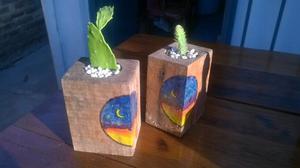 Maceteros con cactus