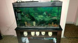Vendo O Permuto Pecera Con Mueble Y Accesorios