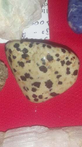 Hornblenda Pulida - Piedra Dalmata - Hermoso Mineral