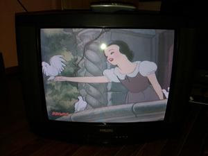 TV Philips 25" Powervision