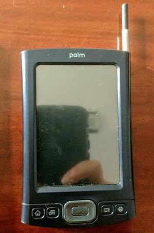 Palm Tx
