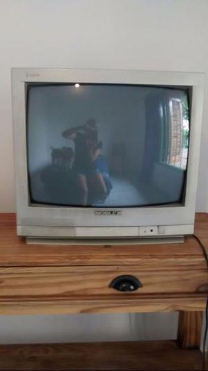 TELEVISOR NOBLEX 20 PULGADAS