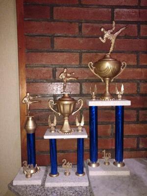 lote de 3 trofeos de artes marciales y otros deportes