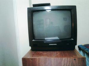 Televisor Grundig 14" muy buen estado con control remoto