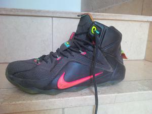 Nike basquet Lebron 12 color data seminuevas unicas talle 10