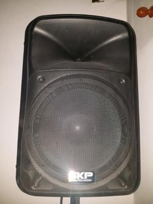 Parlante SKP Pro Audio