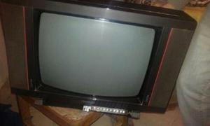 Vendo televisor Telefunken 21" impecable con control remoto