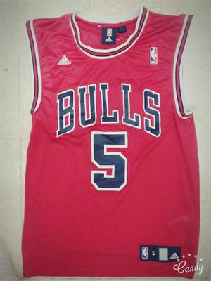 Adidas Chapu Nocioni Chicago Bulls #5