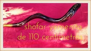 Shofar Yemenita De 110 Centímetros