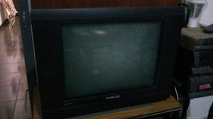 TELEVISOR EN BUEN ESTADO