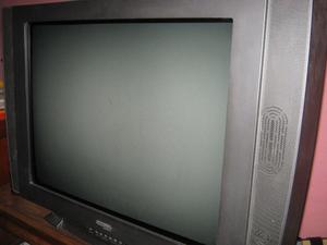 Televisor 29" pantalla plana