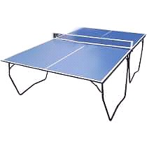 PING PONG PROFESIONAL