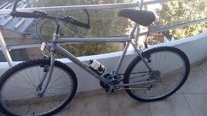 Bicicleta Fiorenza gris