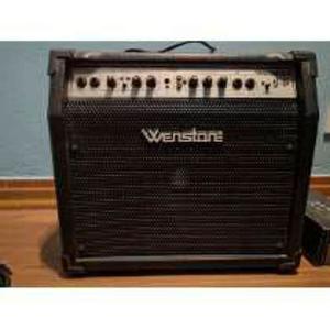 Amplificador Wenstone 30 Watts Ge 300