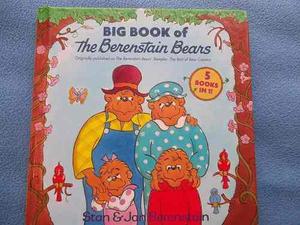 English Book For Kids The Berenstain Bears 5 Book In 1.