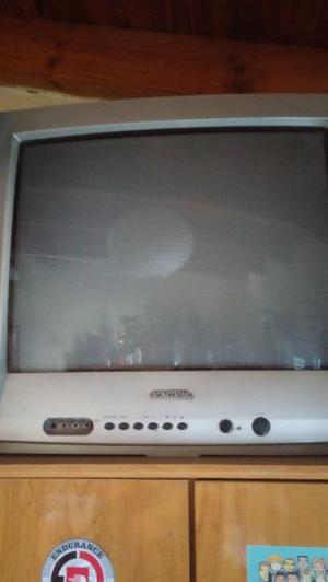 Vendo tv 21"