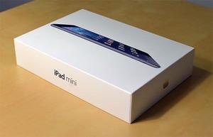 iPad mini Space Grey