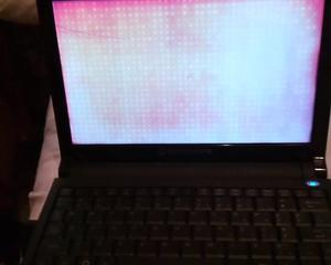 Netbook funciona mal