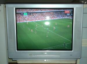 Televisor Philips 29" pantalla plana